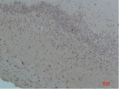 意大利贵宾会-贵宾会官方网站入口