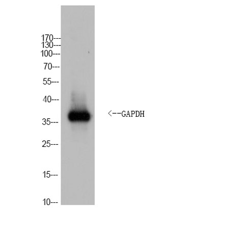 意大利贵宾会-贵宾会官方网站入口