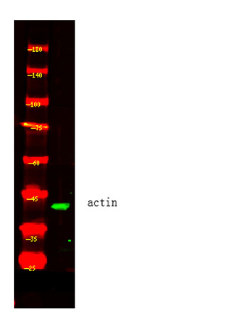 意大利贵宾会-贵宾会官方网站入口