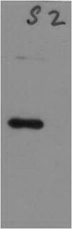 意大利贵宾会-贵宾会官方网站入口