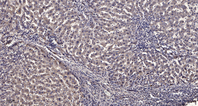意大利贵宾会-贵宾会官方网站入口