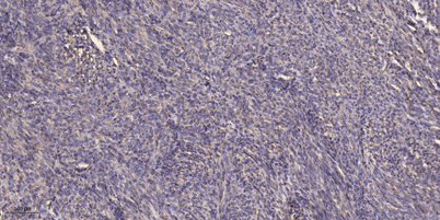 意大利贵宾会-贵宾会官方网站入口
