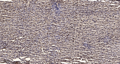 意大利贵宾会-贵宾会官方网站入口