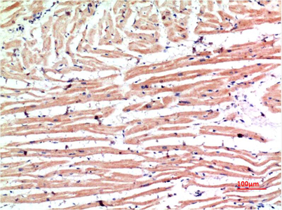 意大利贵宾会-贵宾会官方网站入口