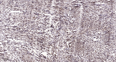 意大利贵宾会-贵宾会官方网站入口