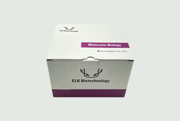 意大利贵宾会-贵宾会官方网站入口