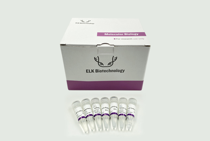 意大利贵宾会-贵宾会官方网站入口