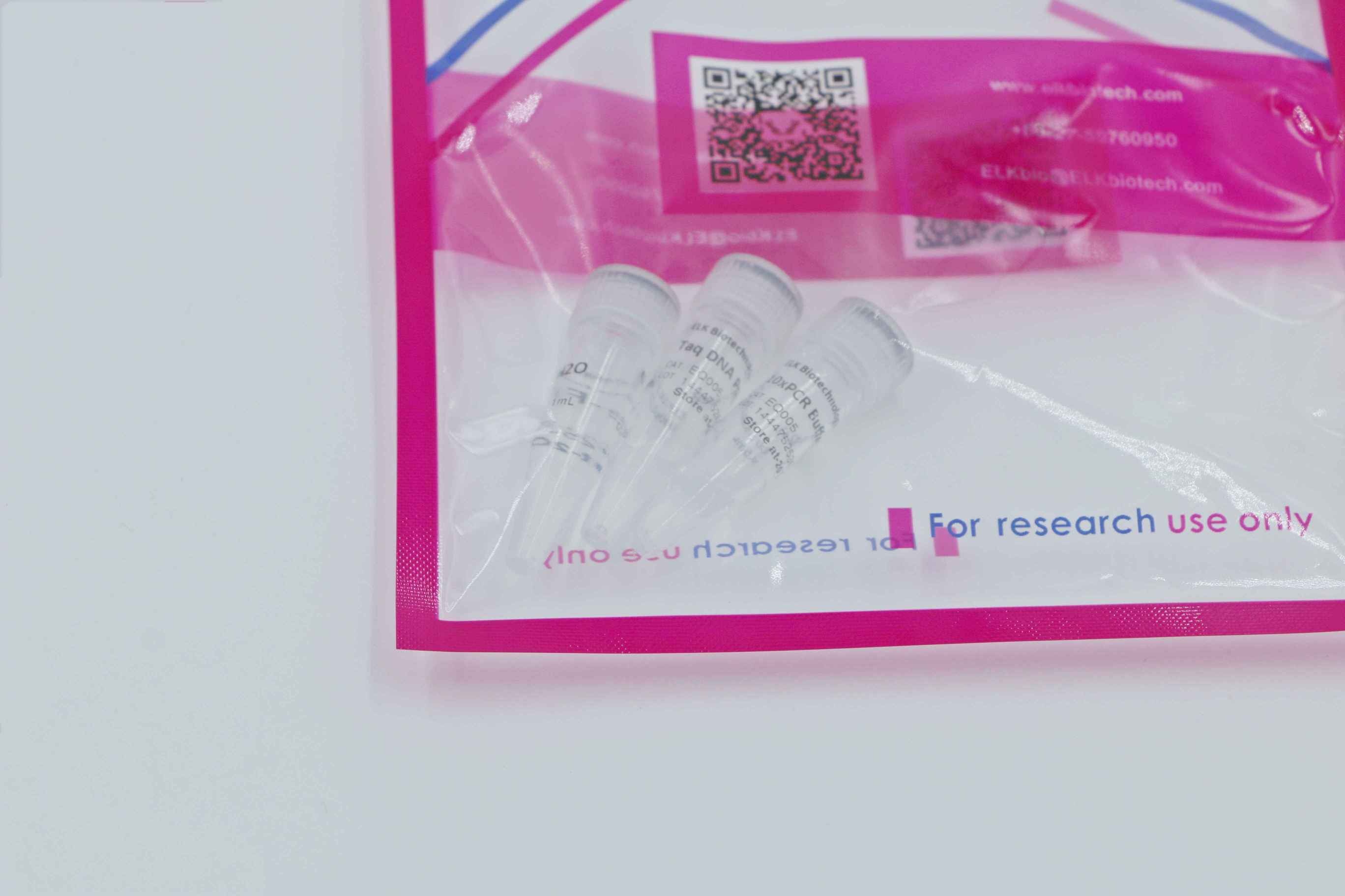 意大利贵宾会-贵宾会官方网站入口